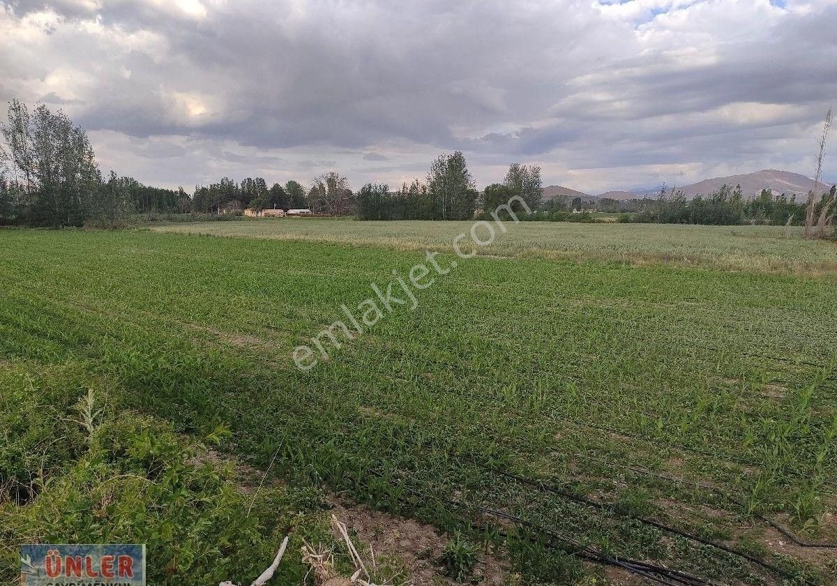 Belceağaçta Tek Tapulu 4967 Metrekare Cazip Fiyata Bahçemiz - Görsel 14