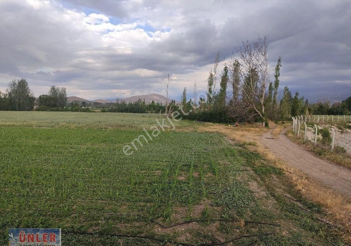 Belceağaçta Tek Tapulu 4967 Metrekare Cazip Fiyata Bahçemiz - Görsel 12