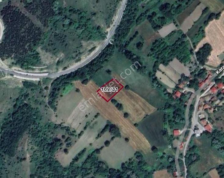 Samsun Kavak Karadağ Köyünde 1.602 M² Tarla Satılıktır