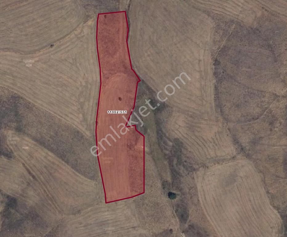 Samsun Kavak Karadağ Köyünde 1.602 M² Tarla Satılıktır - Görsel 5