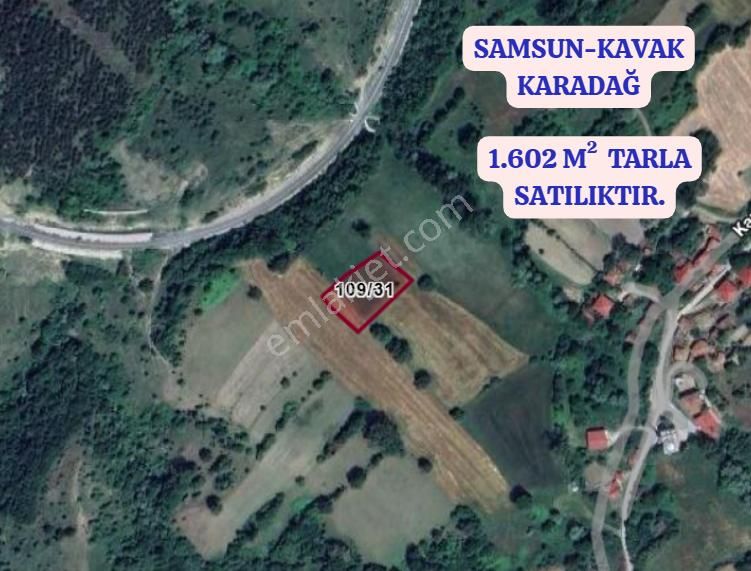 Samsun Kavak Karadağ Köyünde 1.602 M² Tarla Satılıktır - Görsel 2
