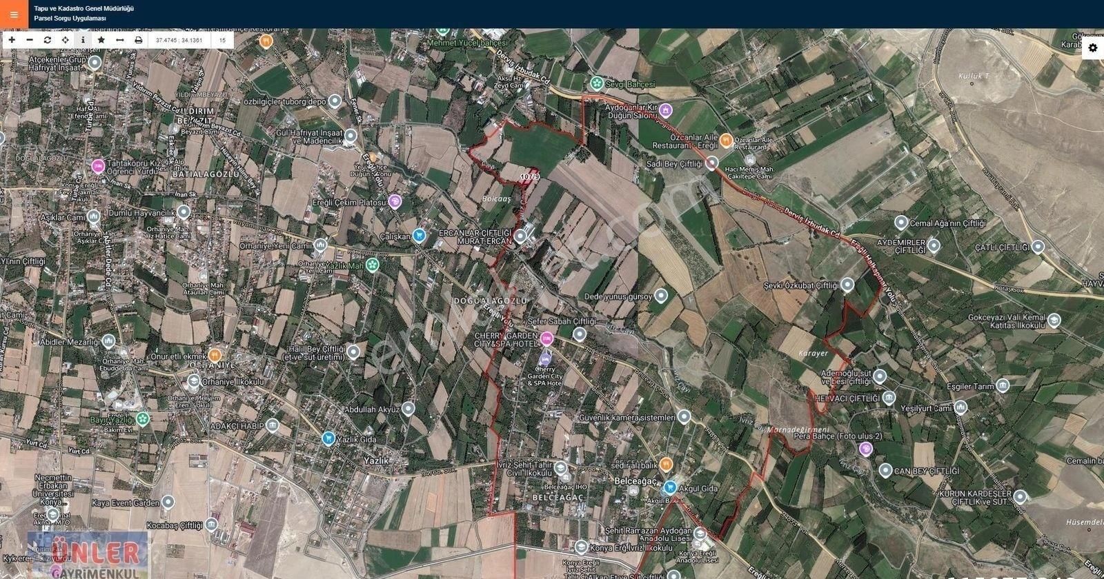 Belceağaçta 4572 Metrekare Tek Tapu Sulu Bahçemiz - Görsel 10