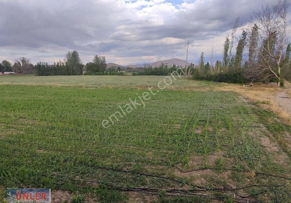 Belceağaçta 4572 Metrekare Tek Tapu Sulu Bahçemiz - Görsel 11