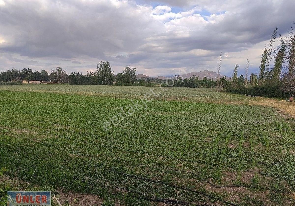 Belceağaçta 4572 Metrekare Tek Tapu Sulu Bahçemiz - Görsel 18