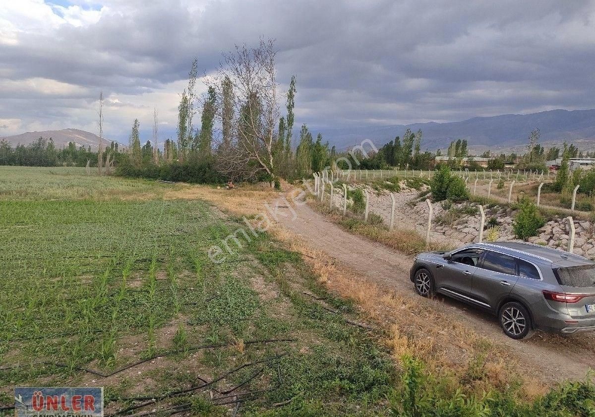 Belceağaçta 4572 Metrekare Tek Tapu Sulu Bahçemiz - Görsel 17