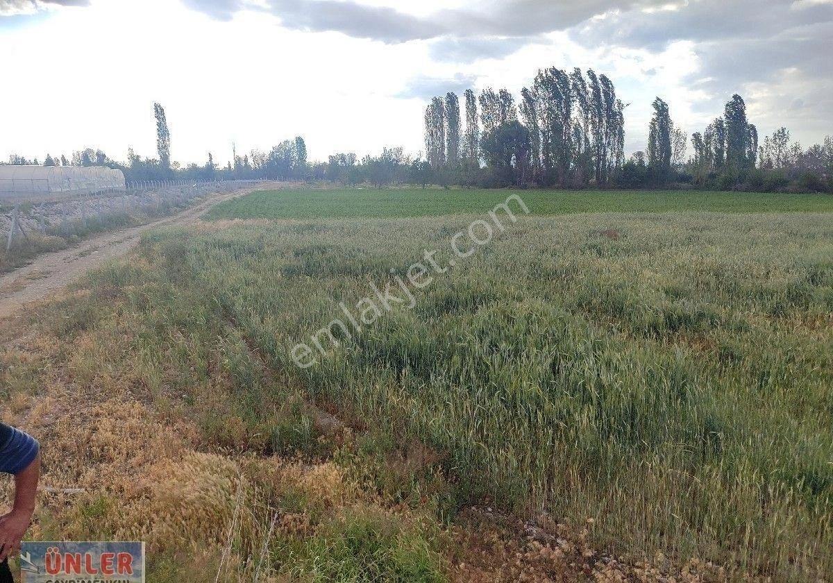 Belceağaçta 4572 Metrekare Tek Tapu Sulu Bahçemiz - Görsel 21