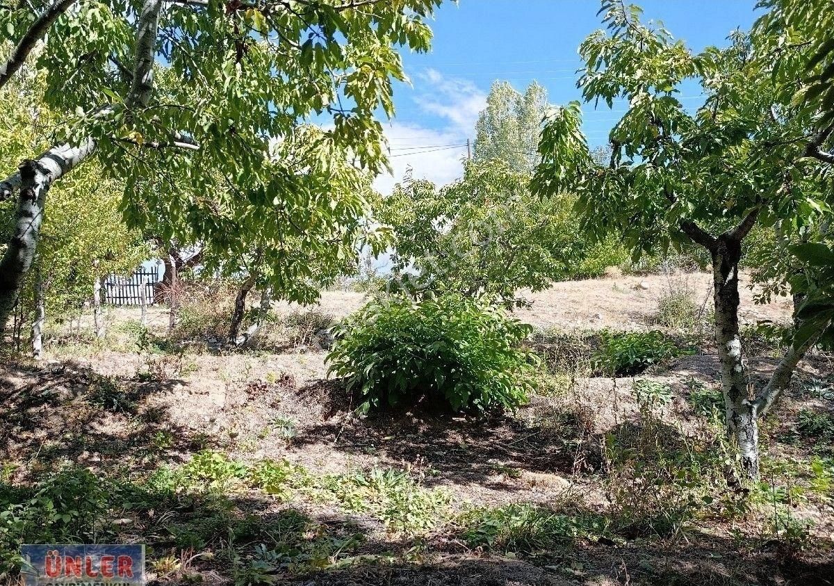 Büyükdede Mahallesi Girişinde Asfalt Ve Dereye Sıfır Bahçemiz - Görsel 2