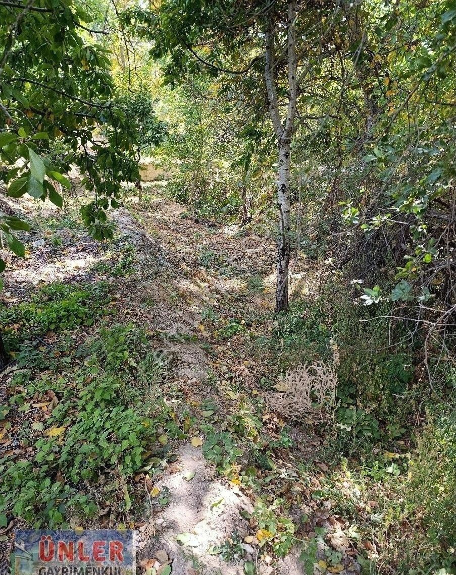 Büyükdede Mahallesi Girişinde Asfalt Ve Dereye Sıfır Bahçemiz - Görsel 32