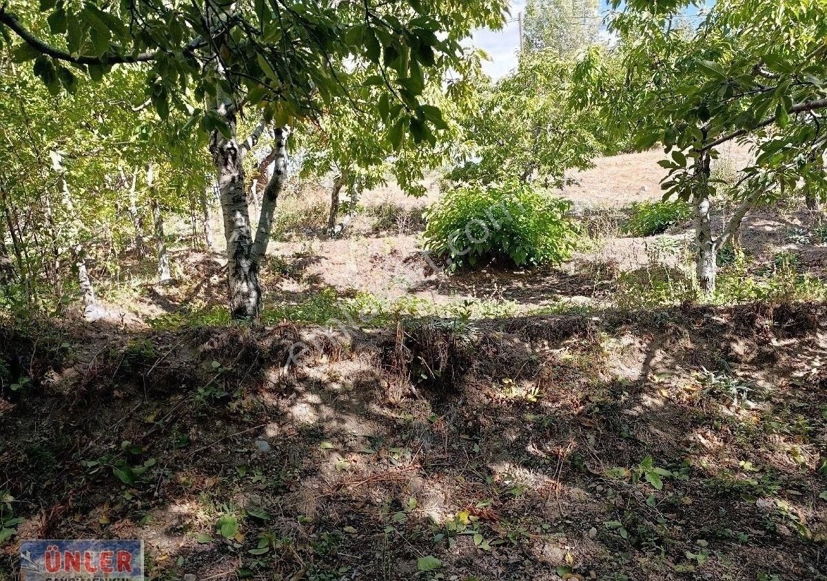 Büyükdede Mahallesi Girişinde Asfalt Ve Dereye Sıfır Bahçemiz - Görsel 5