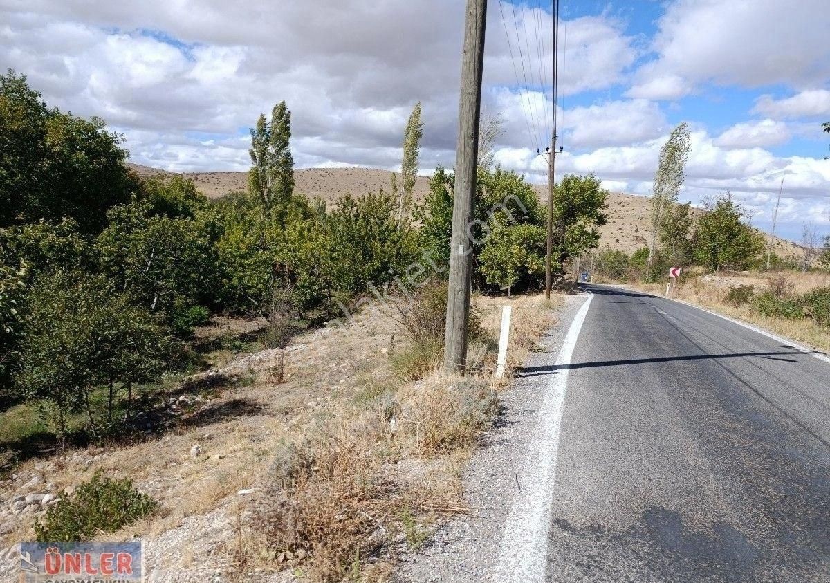 Büyükdede Mahallesi Girişinde Asfalt Ve Dereye Sıfır Bahçemiz - Görsel 10