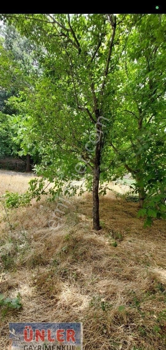 Büyükdede Mahallesi Girişinde Asfalt Ve Dereye Sıfır Bahçemiz - Görsel 15