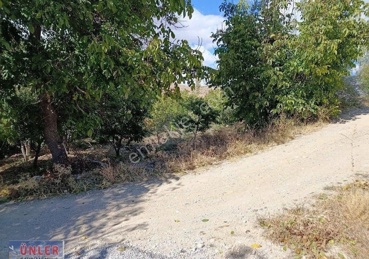 Büyükdede Mahallesi Girişinde Asfalt Ve Dereye Sıfır Bahçemiz - Görsel 28