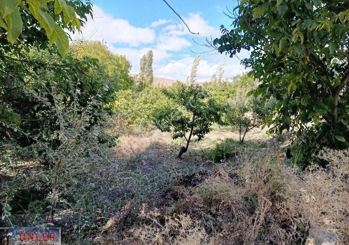 Büyükdede Mahallesi Girişinde Asfalt Ve Dereye Sıfır Bahçemiz - Görsel 13