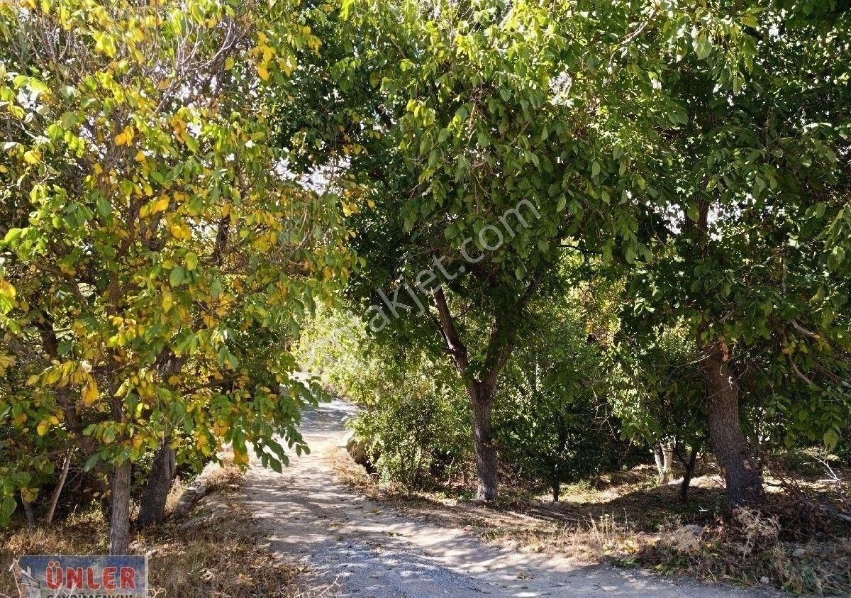 Büyükdede Mahallesi Girişinde Asfalt Ve Dereye Sıfır Bahçemiz - Görsel 24