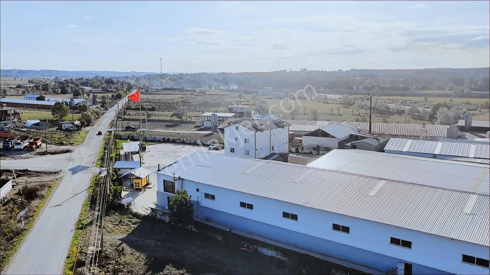 Kaynarcada Satılık Üretim Fabrikası - Görsel 16