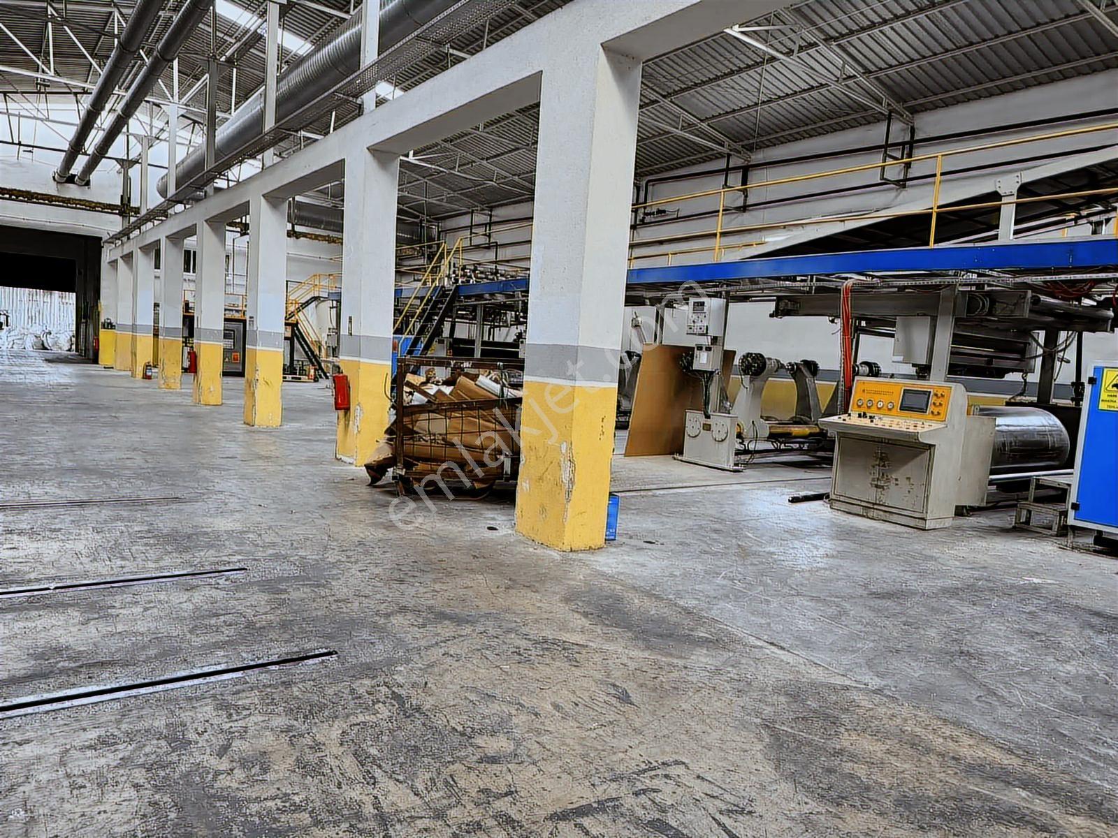 Kaynarcada Satılık Üretim Fabrikası - Görsel 9