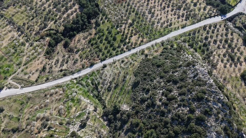 Datça, Sındı Mahallesinde Ana Yola Sıfır 2740 M².lik Arazi - Görsel 17