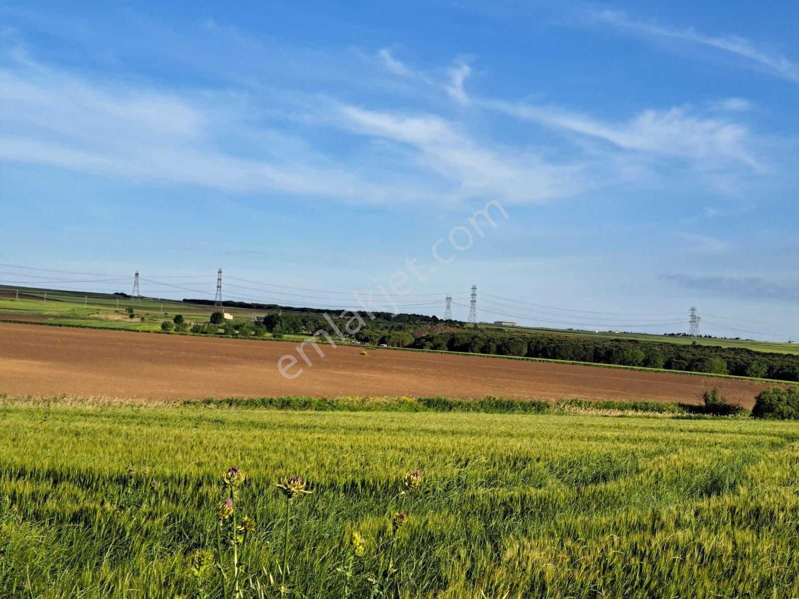 Silivri Gümüşyaka'da Gölet Manzaralı Satılık Yatırımlık Arazi - Görsel 12
