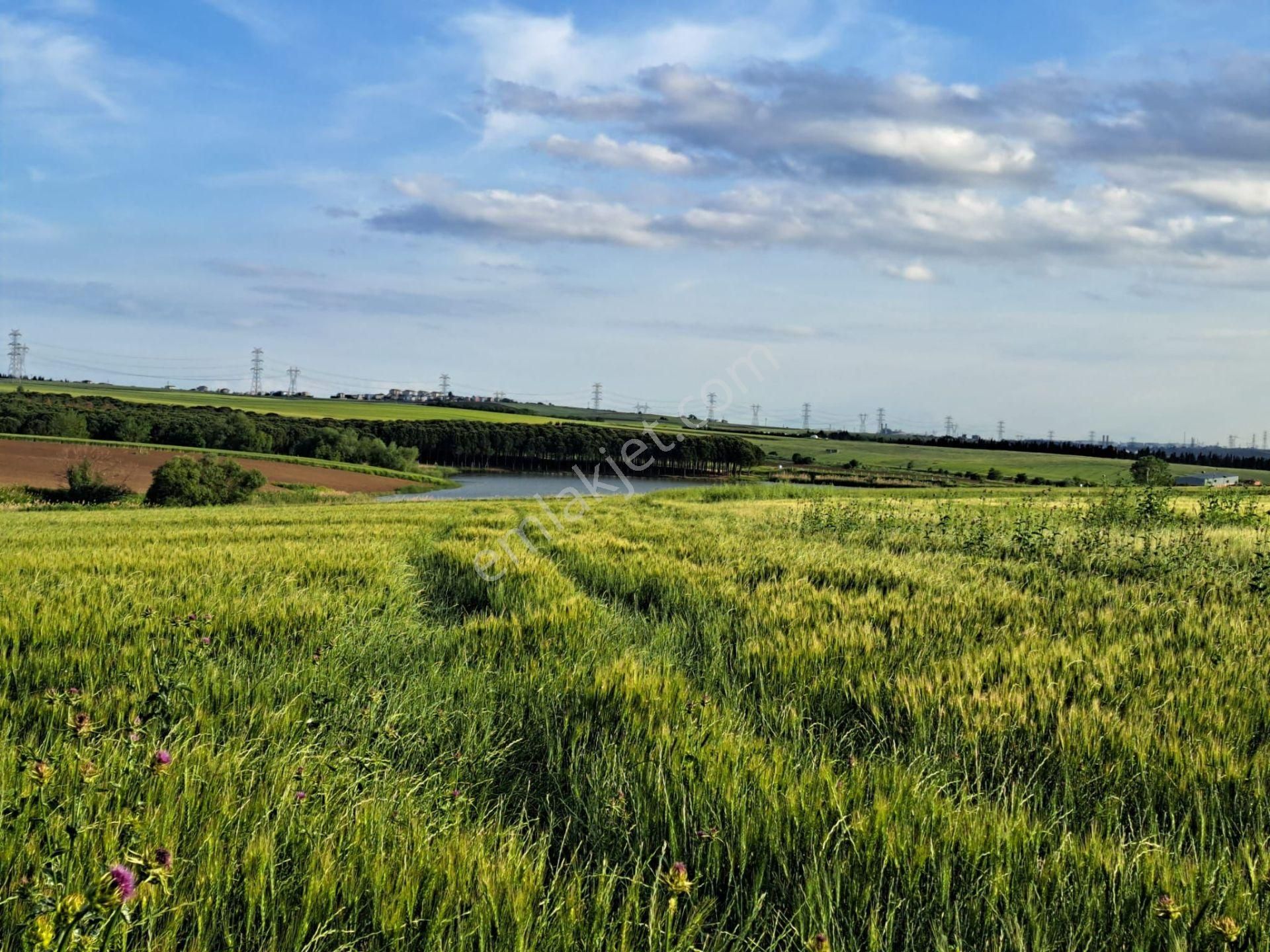 Silivri Gümüşyaka'da Gölet Manzaralı Satılık Yatırımlık Arazi - Görsel 10