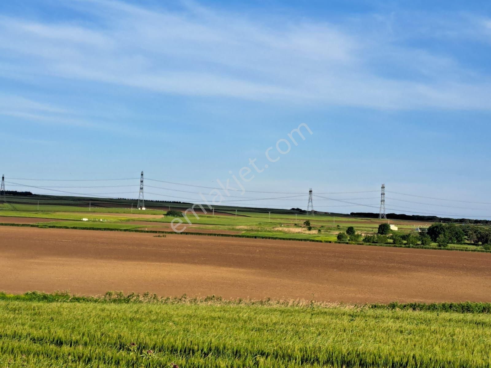 Silivri Gümüşyaka'da Gölet Manzaralı Satılık Yatırımlık Arazi - Görsel 3