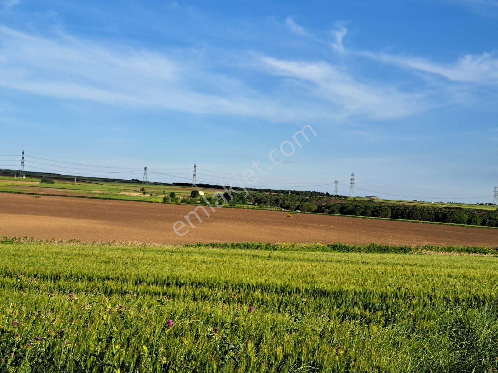 Silivri Gümüşyaka'da Gölet Manzaralı Satılık Yatırımlık Arazi - Görsel 4