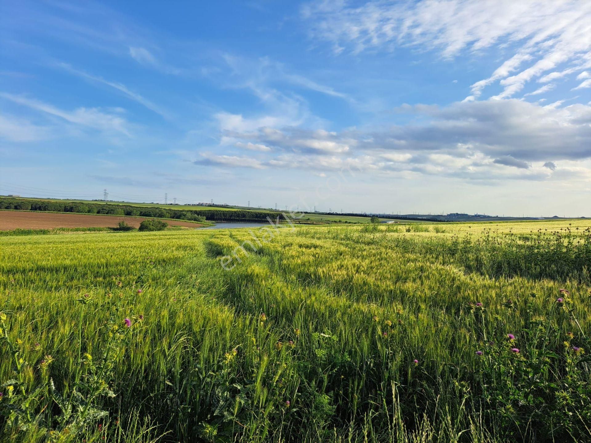 Silivri Gümüşyaka'da Gölet Manzaralı Satılık Yatırımlık Arazi - Görsel 11