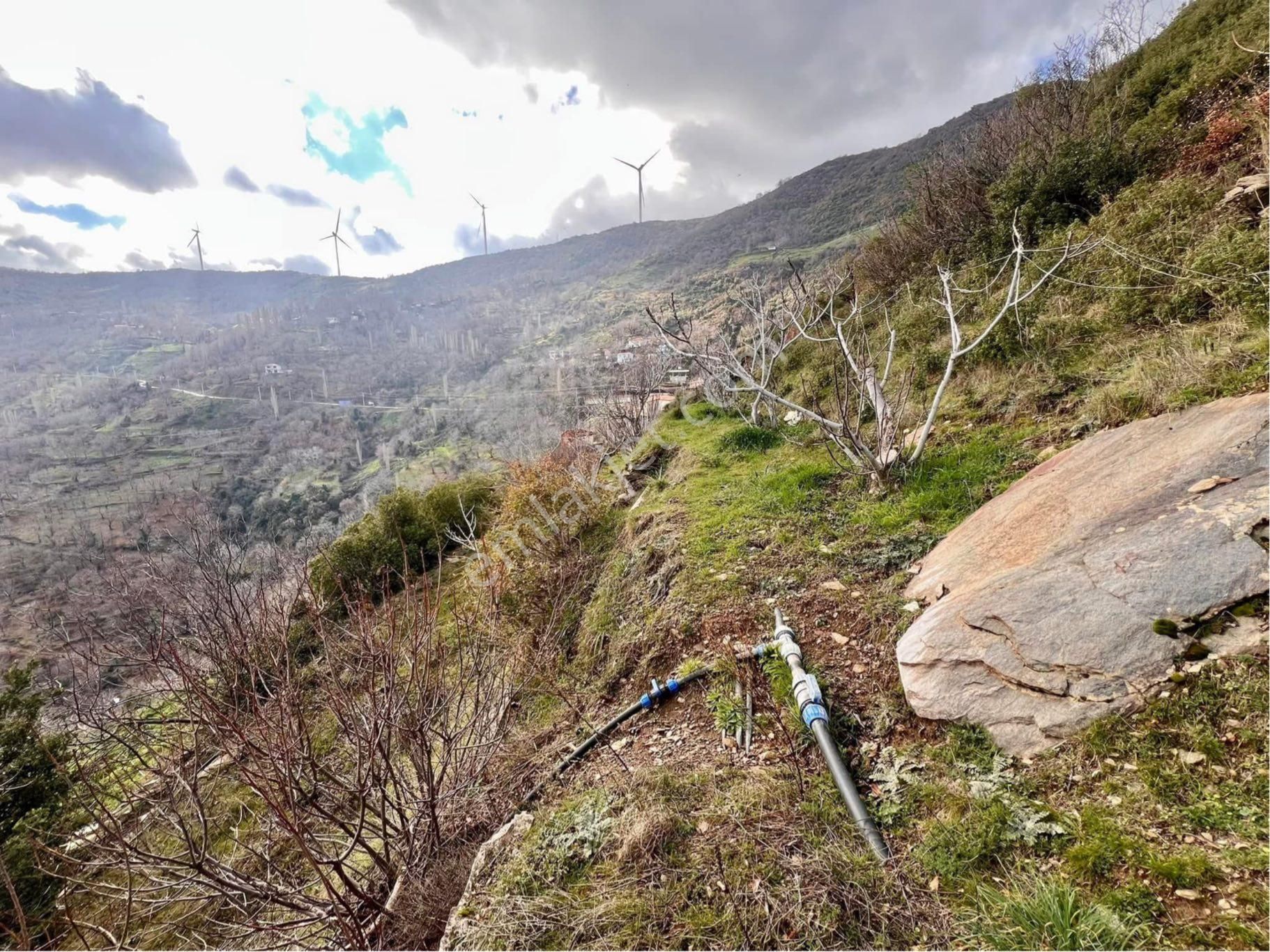Tire Şahin Gayrimenkul’den Satılık İncirlik - Görsel 3