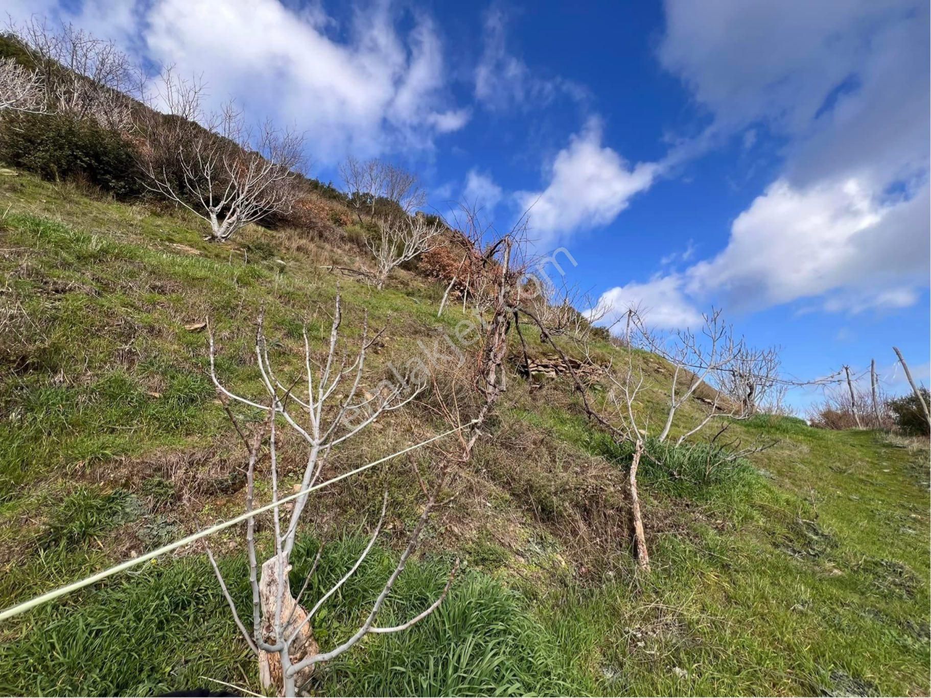 Tire Şahin Gayrimenkul’den Satılık İncirlik - Görsel 11