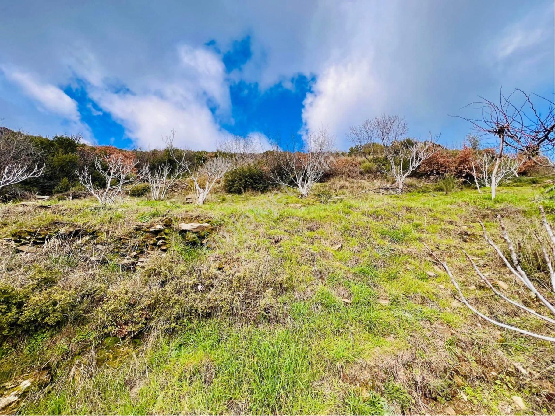 Tire Şahin Gayrimenkul’den Satılık İncirlik