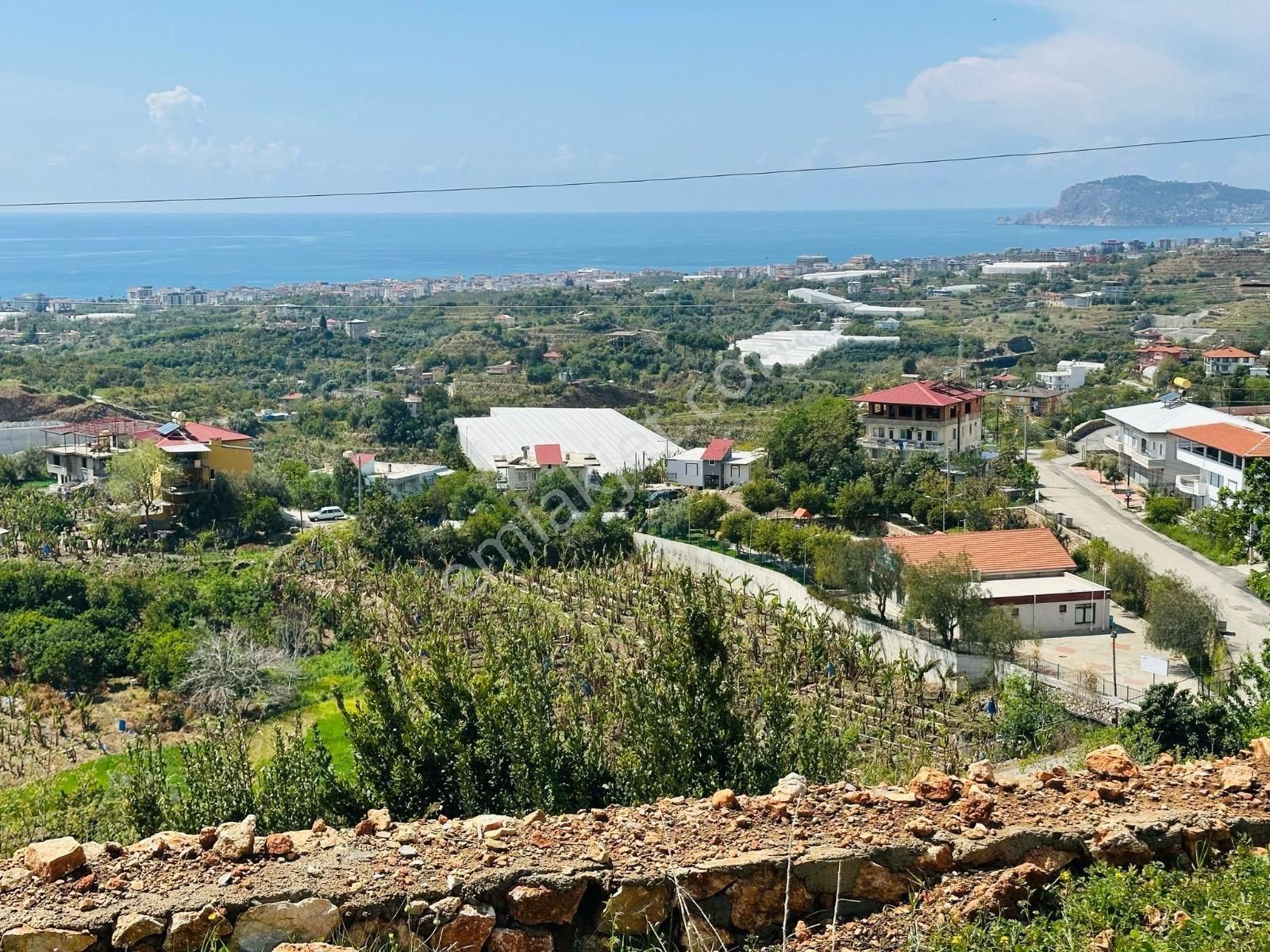 Alan Kazanır Alanya Da Az Bulunan Bu Konum Manzara Lı Tarla