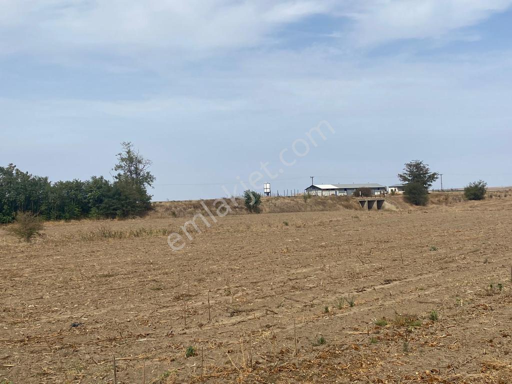 Lüleburgaz Çiftlikköy'de Asfalta 50m Yakın Yatırımlık Arazi - Görsel 2