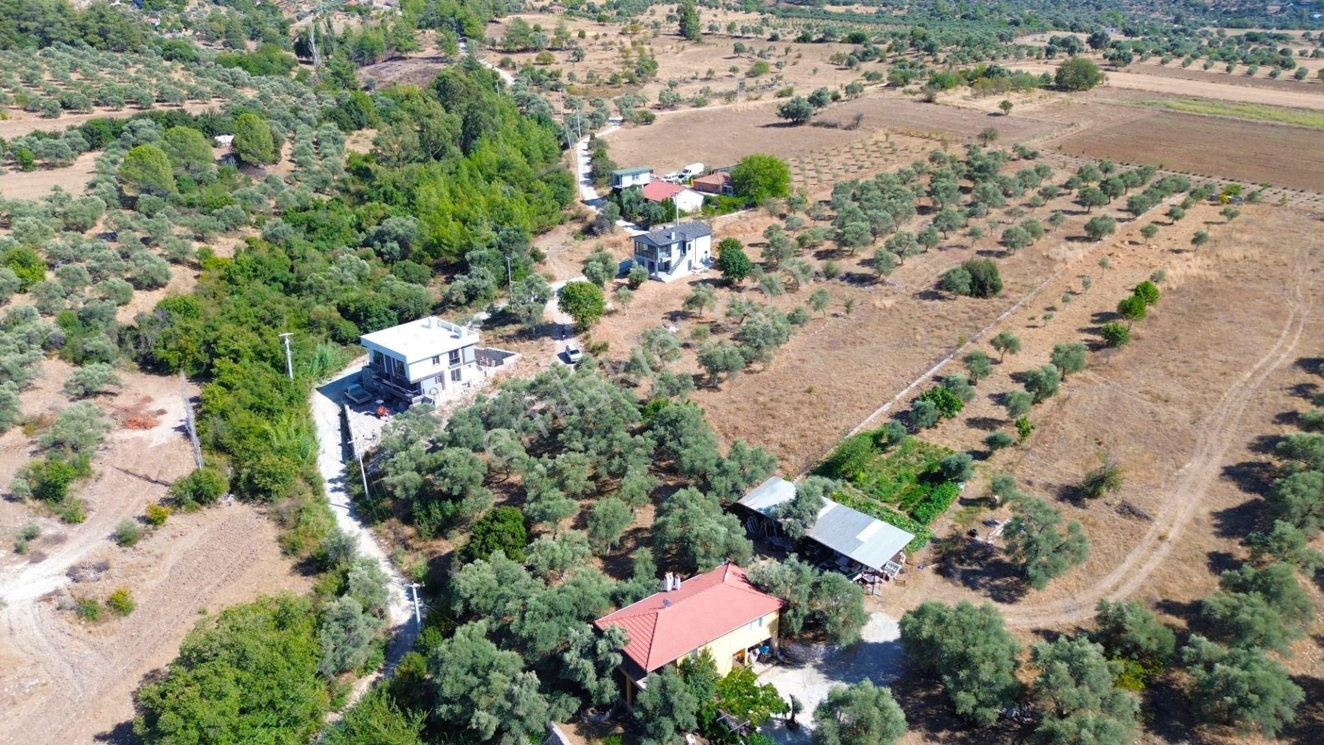 Milas Aslanyaka Mahallesinde 2747 M² Satılık Konut İmarlı Arsa