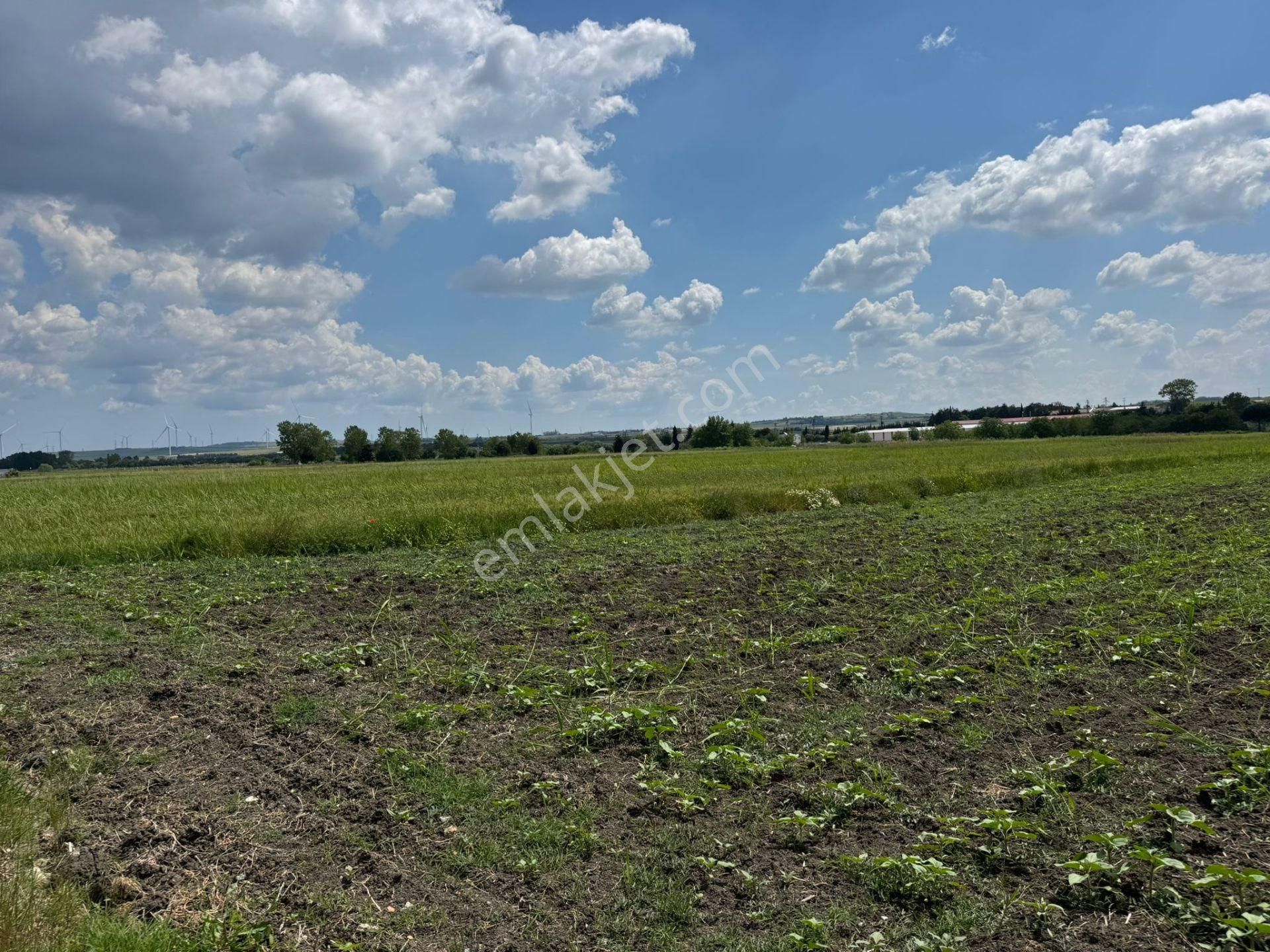 Silivri Seymen'de Kadastro Yolu Mevcut Yeri Belli Arazi - Görsel 10