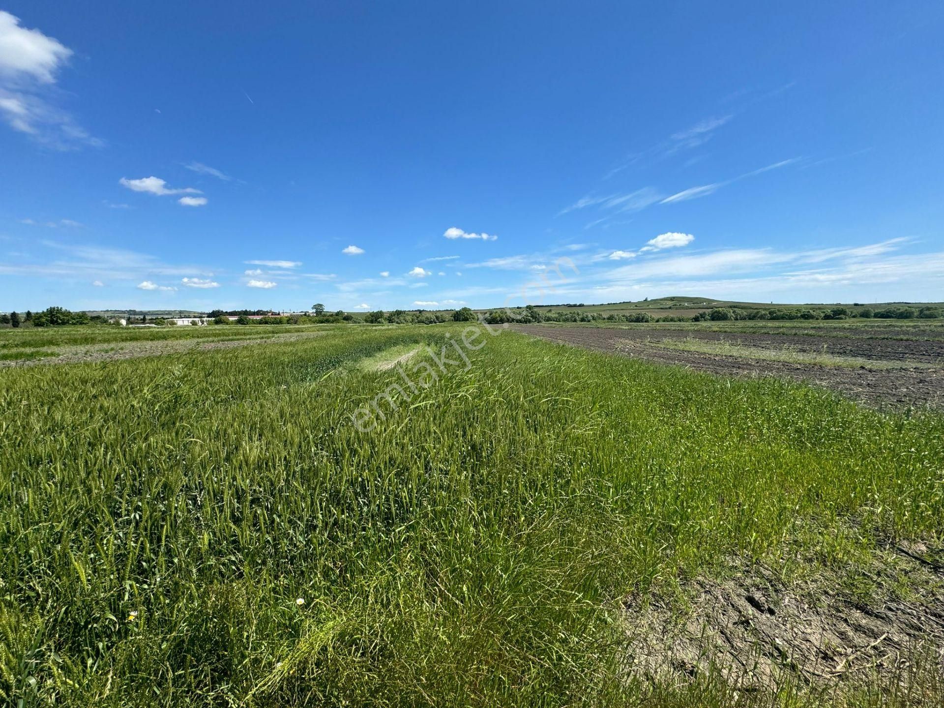 Silivri Seymen'de Kadastro Yolu Mevcut Yeri Belli Arazi