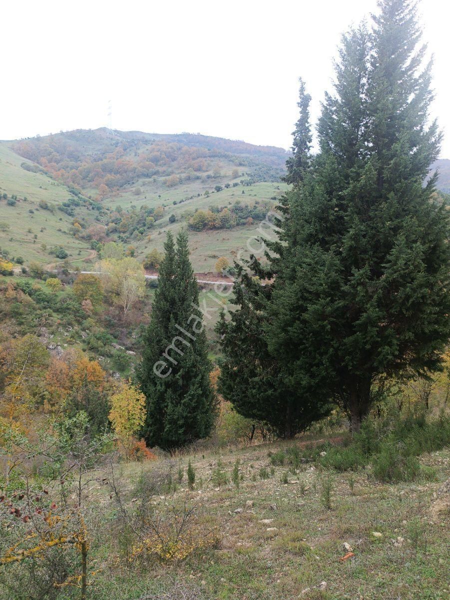 Fitoz Gayrimenkulden Kızderbent Mahallesinde Satılık Tarla - Görsel 4