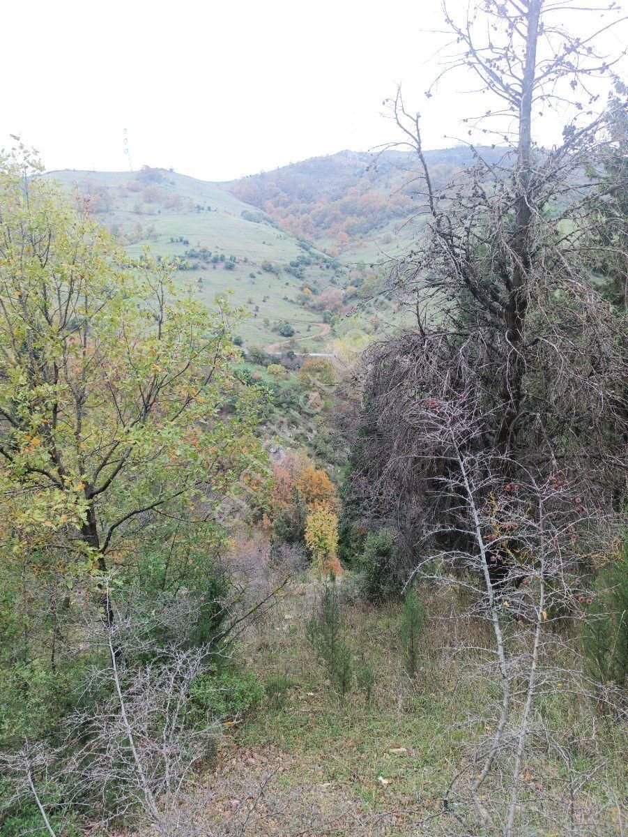 Fitoz Gayrimenkulden Kızderbent Mahallesinde Satılık Tarla - Görsel 23