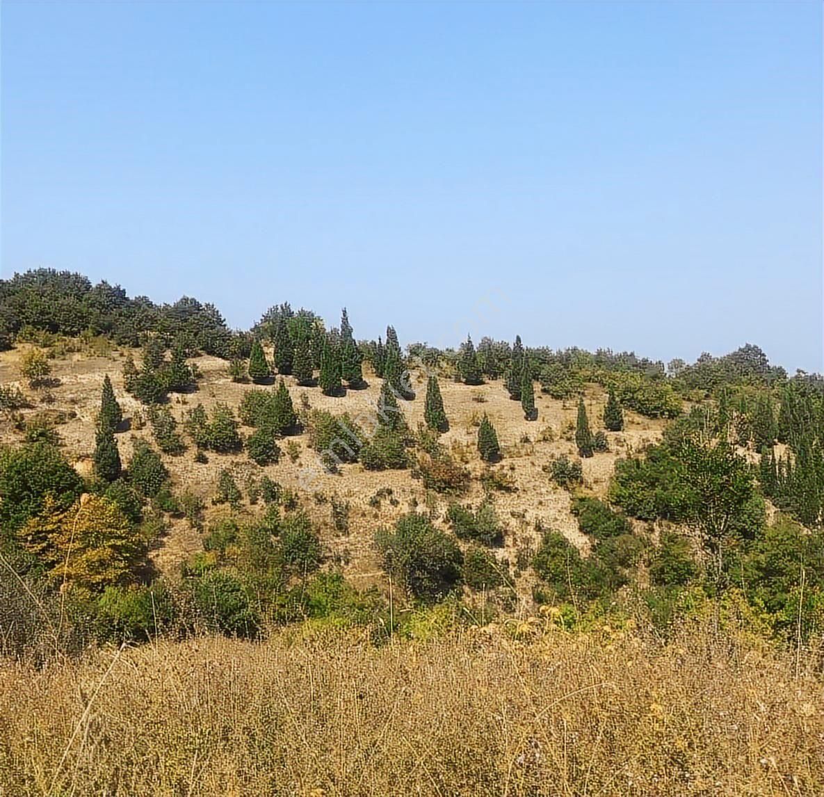 Fitoz Gayrimenkulden Kızderbent Mahallesinde Satılık Tarla - Görsel 11