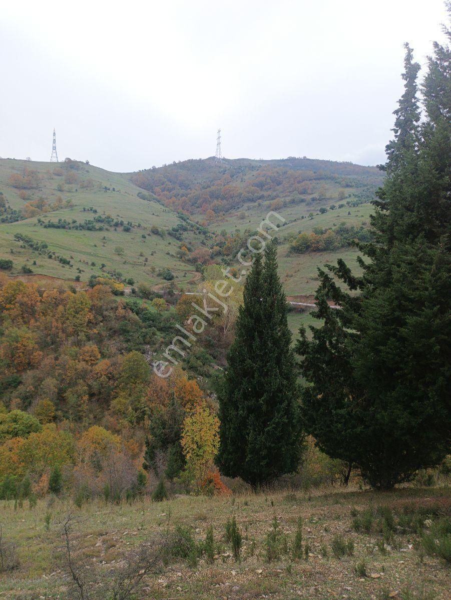 Fitoz Gayrimenkulden Kızderbent Mahallesinde Satılık Tarla - Görsel 17