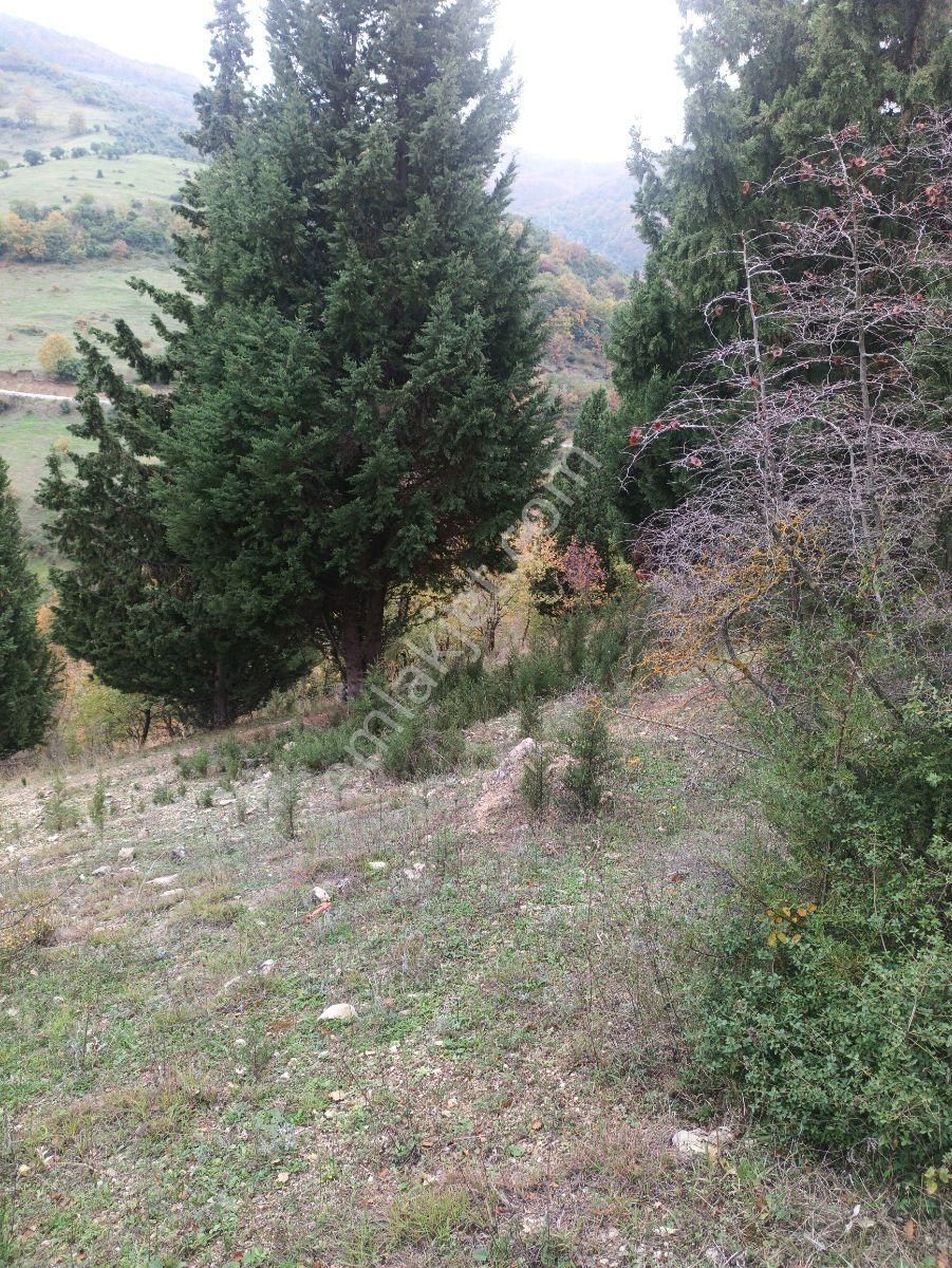 Fitoz Gayrimenkulden Kızderbent Mahallesinde Satılık Tarla - Görsel 18