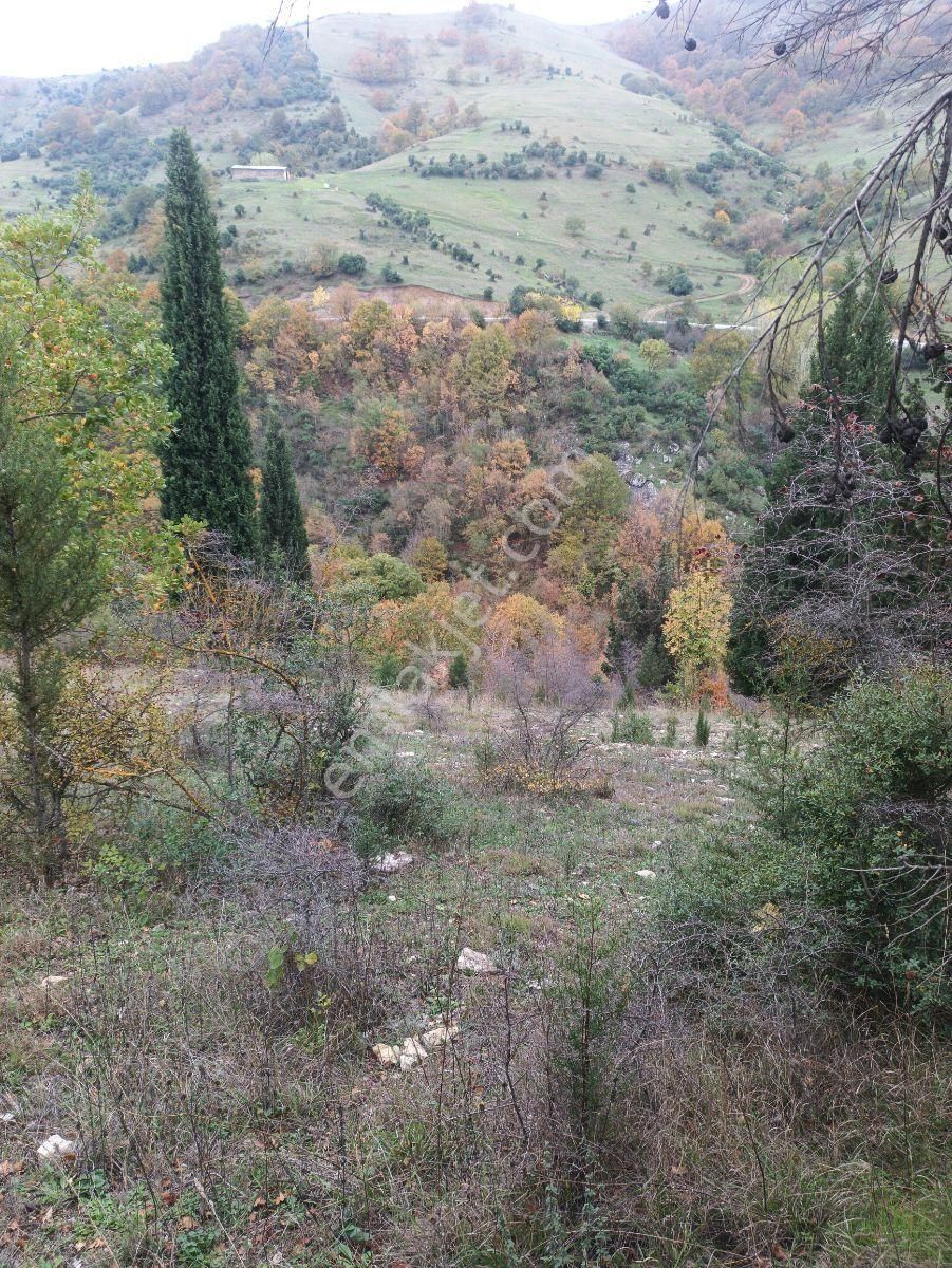 Fitoz Gayrimenkulden Kızderbent Mahallesinde Satılık Tarla