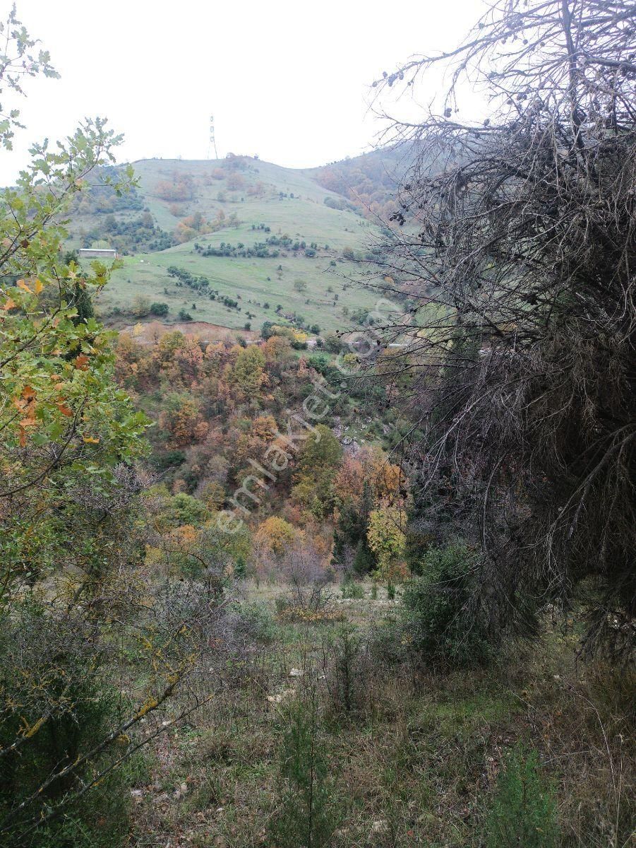 Fitoz Gayrimenkulden Kızderbent Mahallesinde Satılık Tarla - Görsel 2