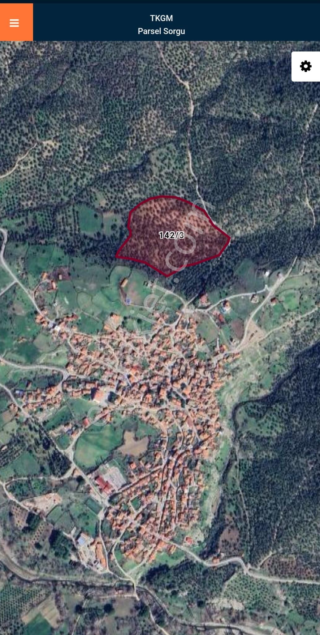 Golden Globy, Burhaniye Bahadınlı'da Satılık 34 Dönüm Zeytinlik