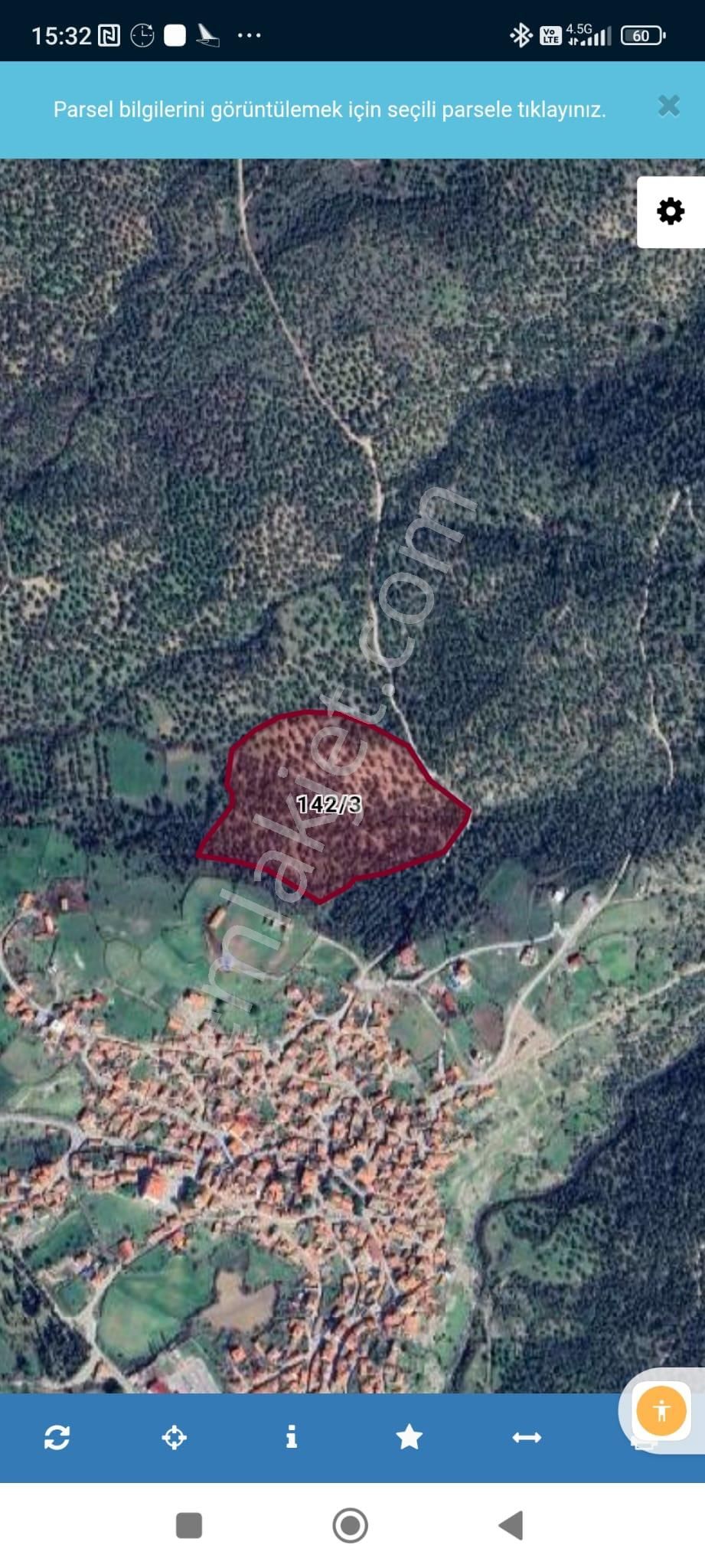 Golden Globy, Burhaniye Bahadınlı'da Satılık 34 Dönüm Zeytinlik - Görsel 2