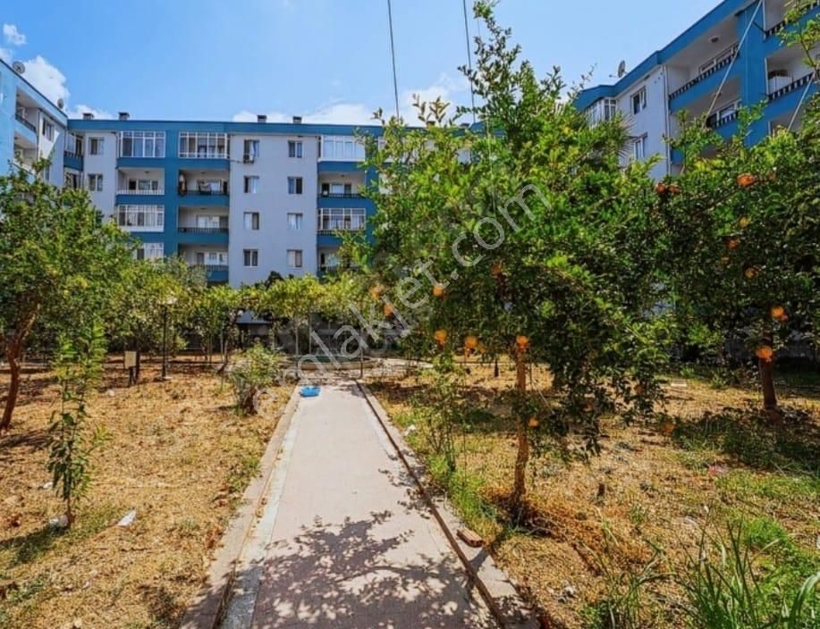 C21 Cius; Özdilek Civarında Güneş Sitesinde Garaj Üstü Daire - Görsel 5