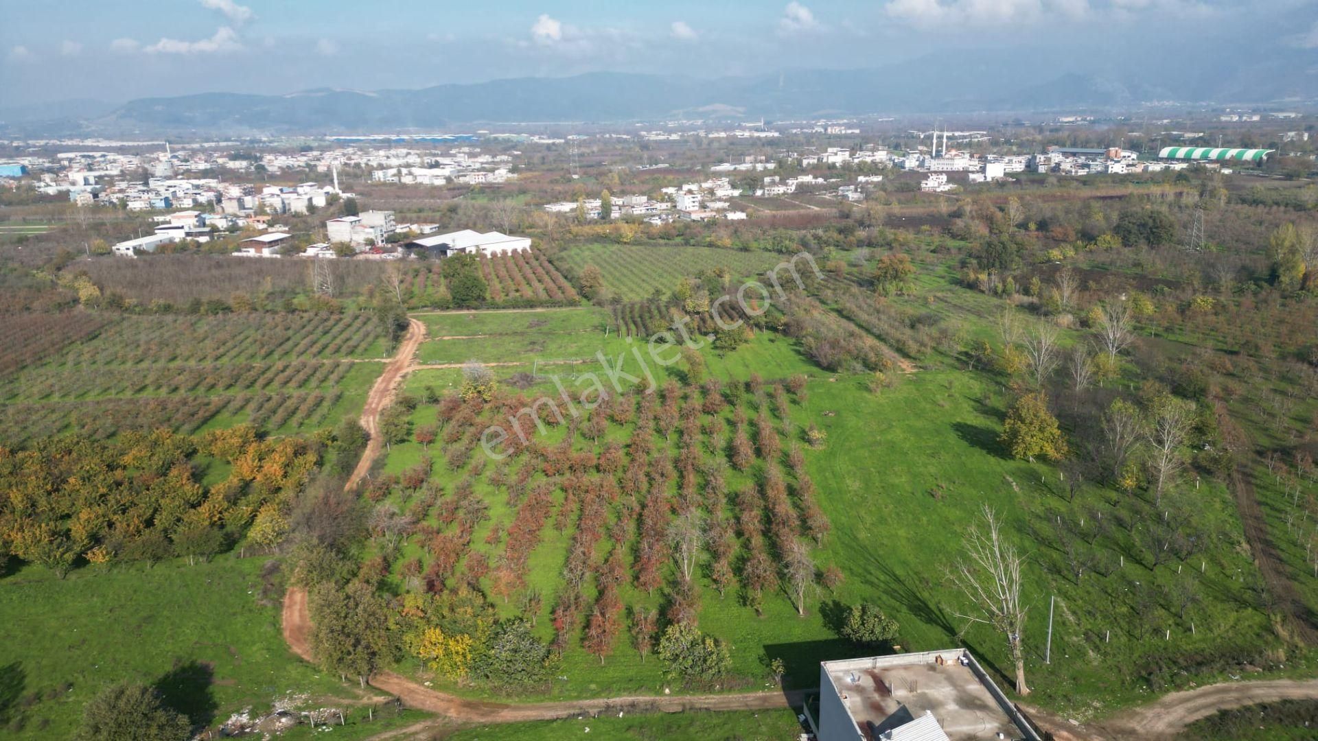 Yıldırım Şirinevler'de 236m2 Arsa'lı 205 M2 İşyeri - Görsel 23