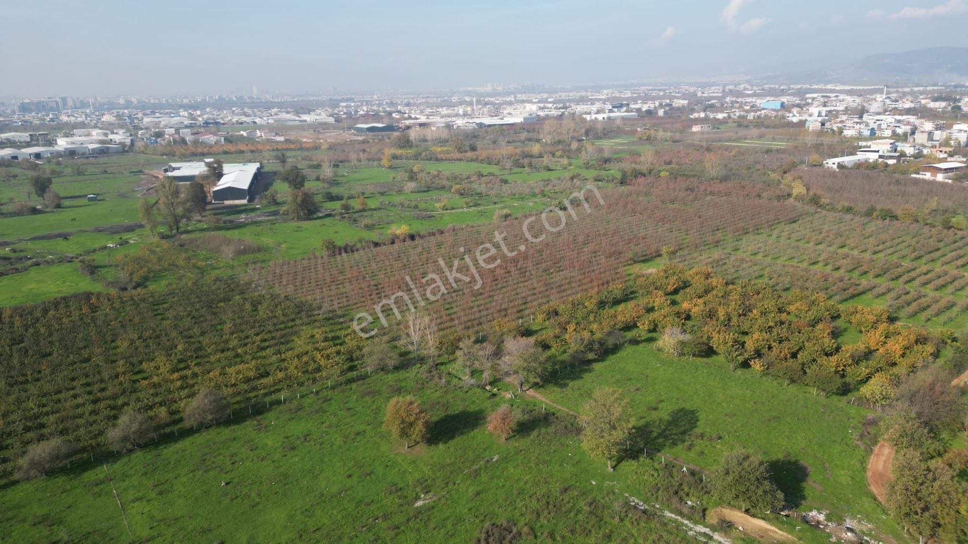 Yıldırım Şirinevler'de 236m2 Arsa'lı 205 M2 İşyeri - Görsel 22