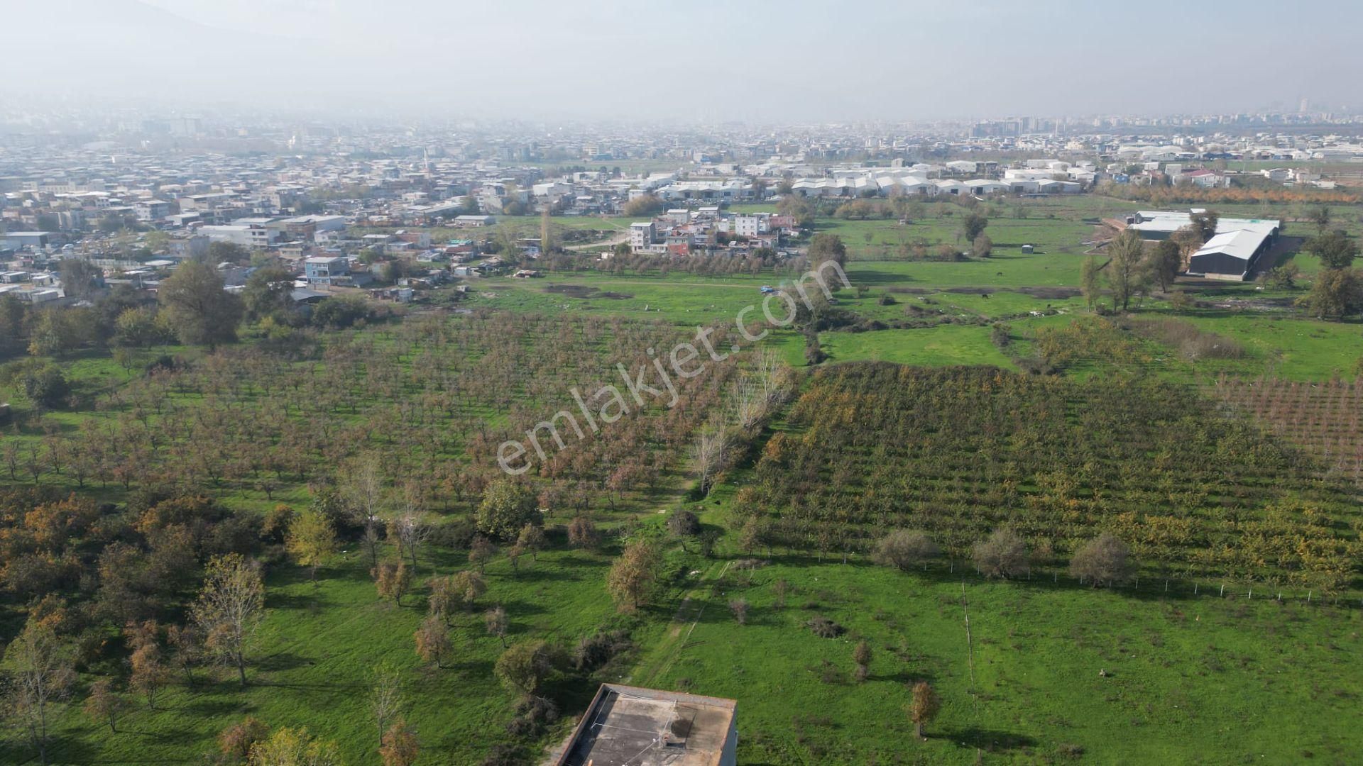 Yıldırım Şirinevler'de 236m2 Arsa'lı 205 M2 İşyeri - Görsel 18