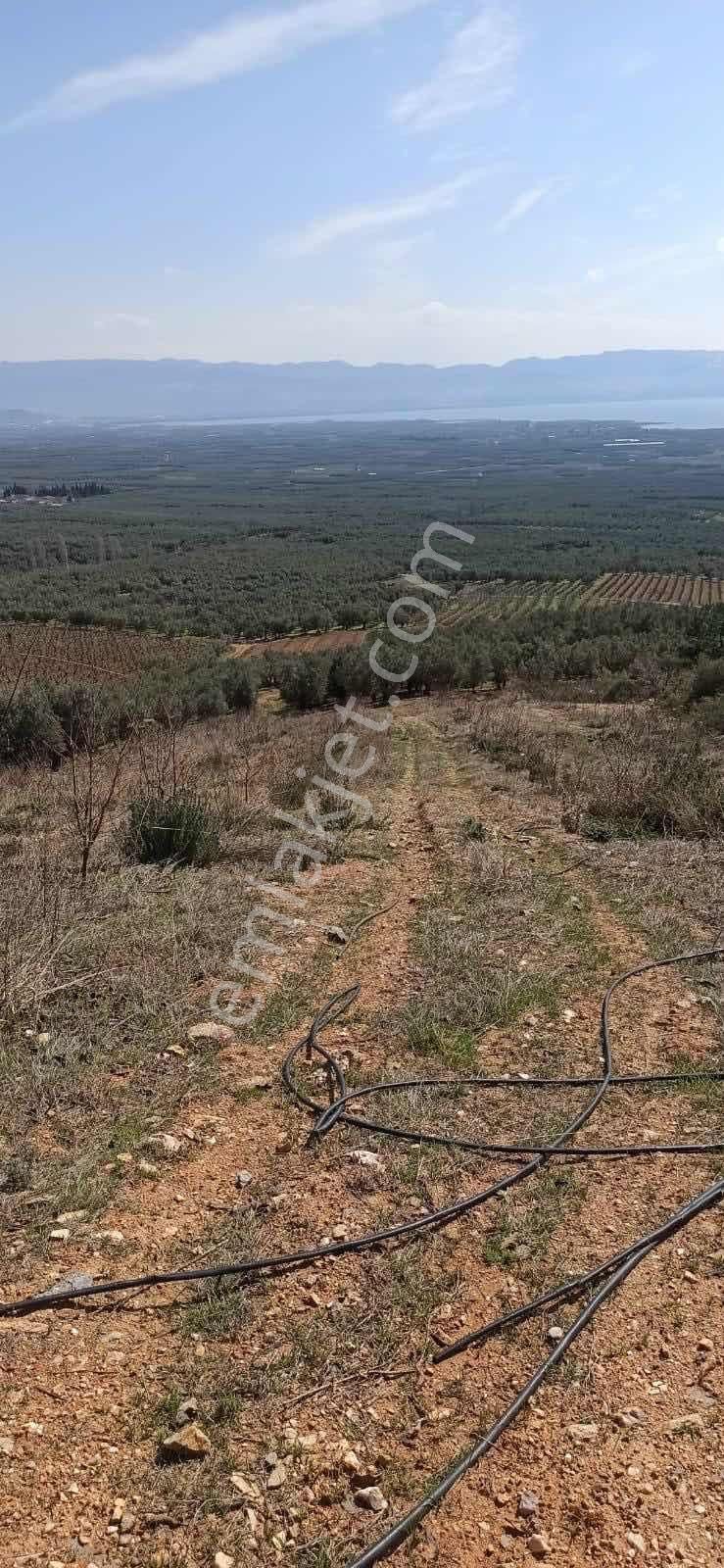 Cb Black'ten İznik Orhaniye Satılık Eşsiz Tarla - Görsel 2