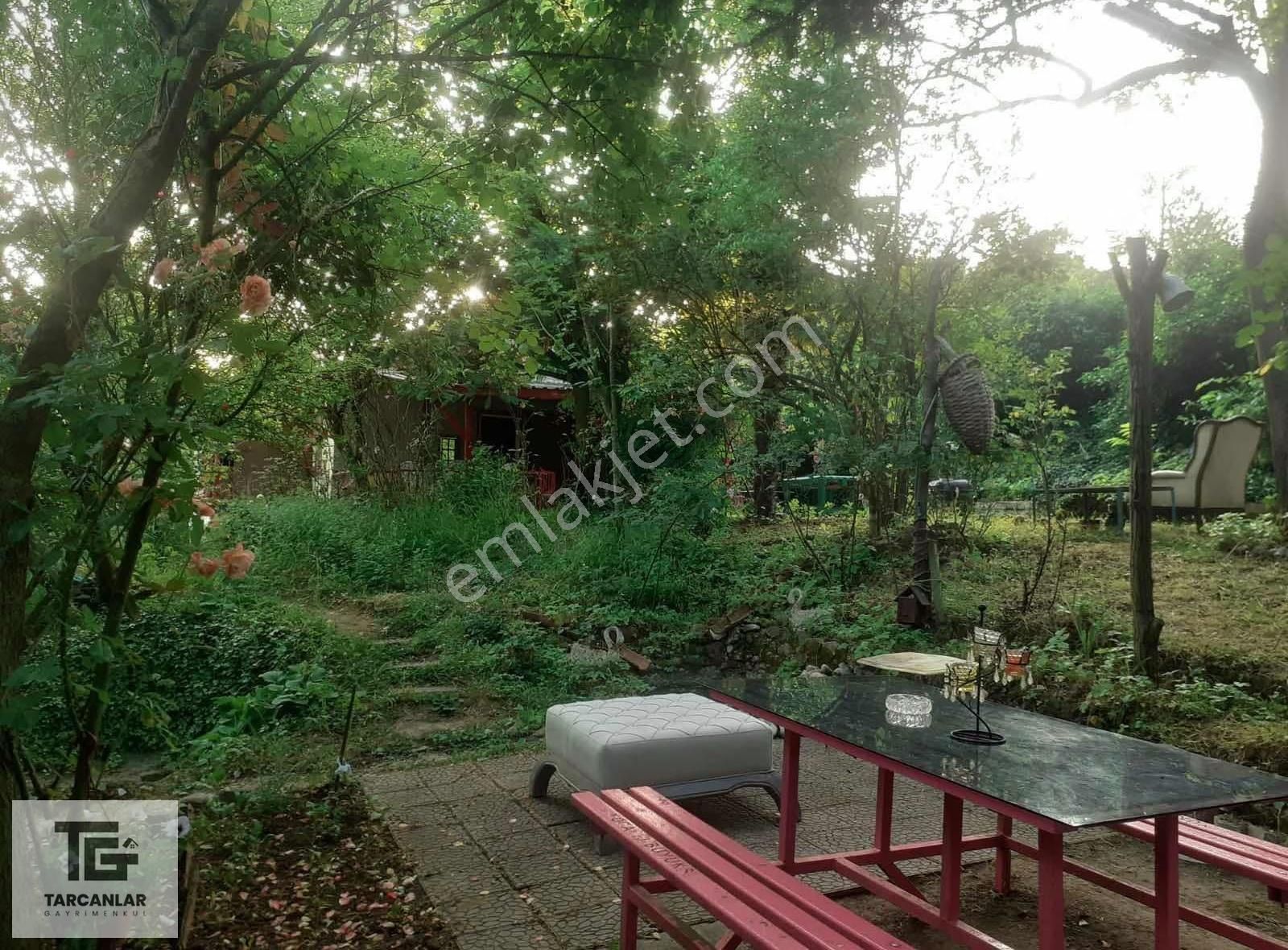 Tarcanlardan Doğanın İçinde Harika Bahçeli Kiralık Ev - Görsel 11