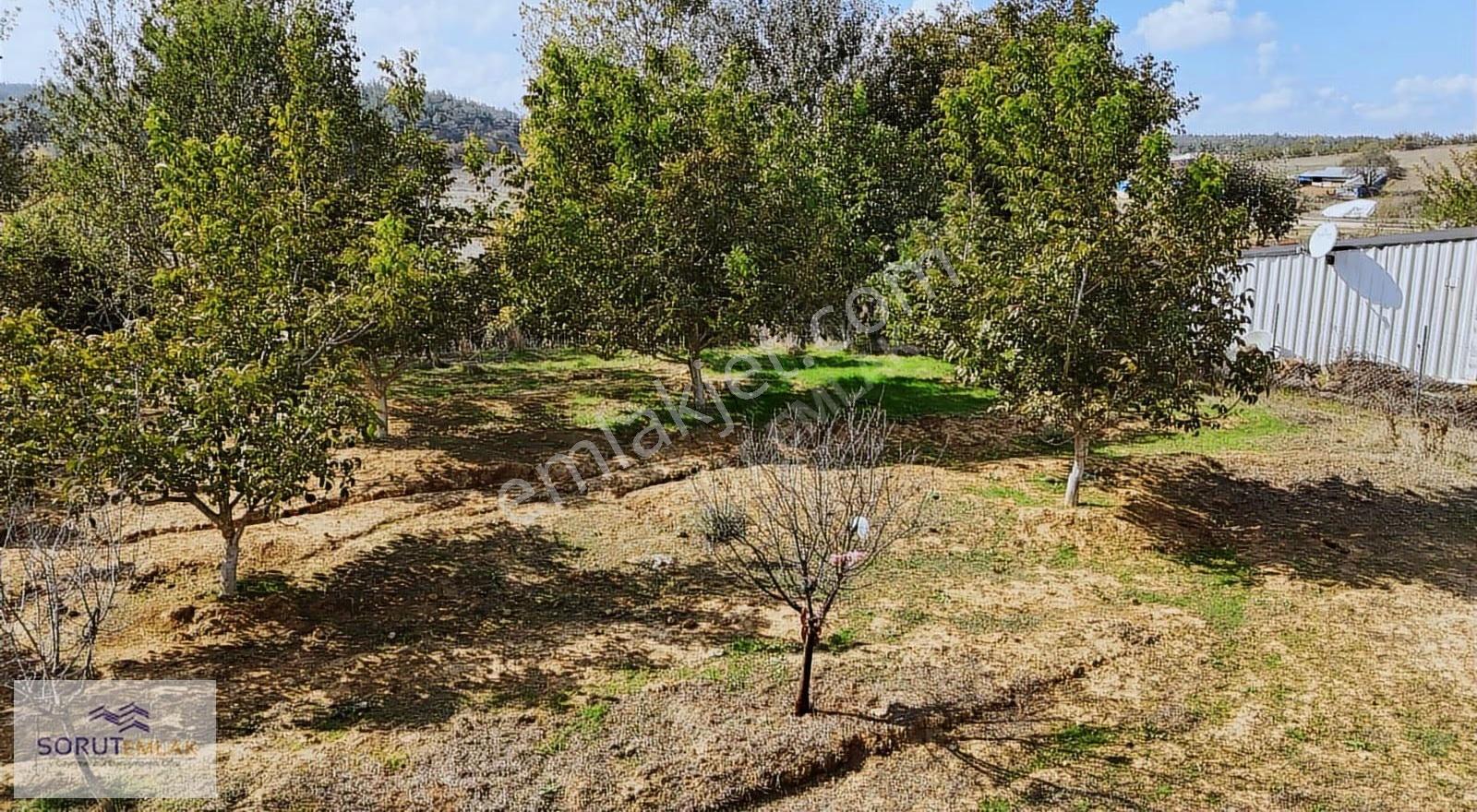 Yatırımlık Fırsat! Keşan Akhoca Köyünde %60 İmarlı 2200 M² Arsa - Görsel 25